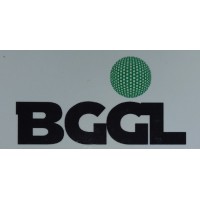 BG GLOBAL LTD logo - Similar company to Bg Global (Pty) Ltd