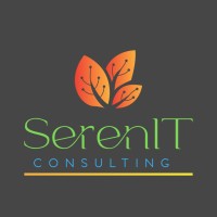 Serenit Consulting L.L.C