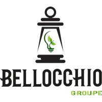 GROUPE BELLOCCHIO logo - Similar company to Avantree