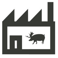 The Video Content Factory logo - Similar company to Gp5 Inc.
