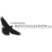 Silkeborg Ørnereservat, Rovfugleshow Og Bisonfarm
