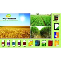 Royal Krushi Sciences. Pvt. Ltd logo - Similar company to Apolloc Surfaces Pvt Ltd