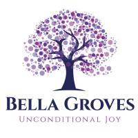 Bella Groves logo - Similar company to Digital Solutions It