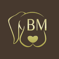 BY MASCOTA FRANQUICIAS SL logo - Similar company to Plusdental