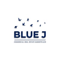 BlueJ logo - Similar company to Felicity Projects