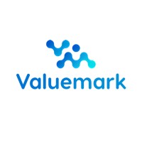 Valuemark Solutions logo - Similar company to Platform For Connected Leadership