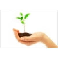 Cap Mantra Wealth Consultant Pvt Ltd logo - Similar company to Coreq Research