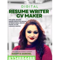 Acehotelier Resume Writing Services & Freelance RECRUITER logo - Similar company to Obarecruit