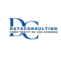 Data consulting dj logo - Similar company to Liban Hassan