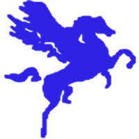 Pegasus Coaching Pvt Ltd logo - Similar company to Eduquest