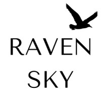 Raven Sky Consulting Ltd logo - Similar company to The Retail Future Alliance