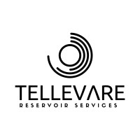 Tellevare Reservoir Services logo - Similar company to 16S Technologies