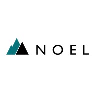 NOEL. Mittelstandsberatung logo - Similar company to Futureorg Institut - Forschung Und Kommunikation Für Kmu