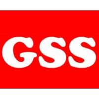 Geoscience and Surveying Services logo - Similar company to Synthron Lab