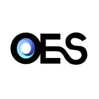 OES ORGANIZACIONES logo - Similar company to Emprendennial