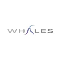 Whales Regional Workforce Pty Ltd logo - Similar company to Y Northern Territory