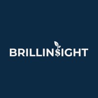 Brillinsight LLC logo - Similar company to Wall St Engine