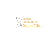 Xcelqiu Digital Consulting