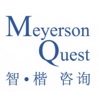 Meyerson Quest Limited logo - Similar company to Petizen Limited