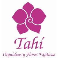 Tahí Orquídeas y Flores Exóticas logo - Similar company to Hilverdaflorist B.V.