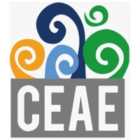 Comité Estudiantil De Admin De Empresas