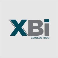 XBi Consulting logo - Similar company to Dhauz North America