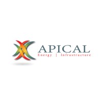 APICAL Holdings Limited logo - Similar company to Kudu Energy Services