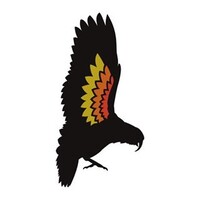 Kea Conservation Trust logo - Similar company to Hail Environmental
