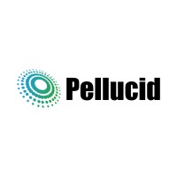 Pellucid IT Inc. logo - Similar company to Webstylze