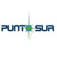 Ingeniería Punto Sur logo - Similar company to Codiner