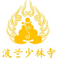 Shaolin Temple Poland logo - Similar company to Kreuzwerker Sp. Z O.O. Sp. K.