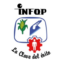 Instituto Nacional de Formación Profesional - INFOP VIRTUAL logo - Similar company to Axi Group