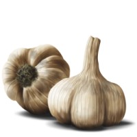 Lehsun.in logo - Similar company to Garlic Designs