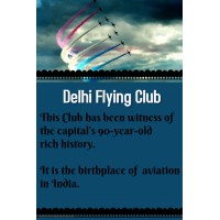 Delhi Flying Club logo - Similar company to Avsf Academy