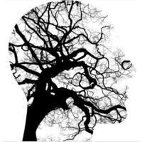 Fundación Iberoamericana NEURODIVERSIDAD logo - Similar company to Fundación Unión Autismo Y Neurodiversidad Fuan