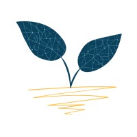 Root XP logo - Similar company to Colizeum