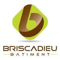 BRISCADIEU logo - Similar company to Virgo Bâtiment