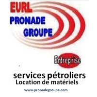 EURL PRONADE GROUPE logo - Similar company to Me_Analytics & Bi