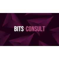 Bits Consult logo - Similar company to Bits Consulting