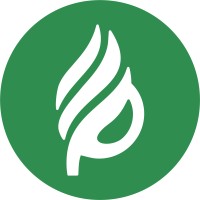 Proenergeticos logo - Similar company to Dropson 🌍