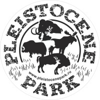 Pleistocene Park at Cop28 UAE logo - Similar company to Pleistocene & Permafrost Stiftung | Ngo