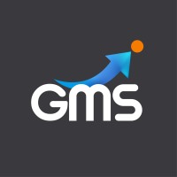GiantMind Solutions logo - Similar company to Pulse Tech Digital