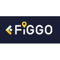 Figgo Innovations Private Limited logo - Similar company to Kds Tech Solutions