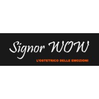 Studio WOW di Giuseppe Marinotti logo - Similar company to 3Co