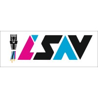 @isavsolutions logo - Similar company to Windear Consulting
