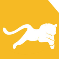Instituto Corredor das Onças logo - Similar company to Reprocon Institute
