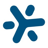 BrainChip logo - Similar company to Natural Intelligence Systems