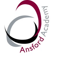 Ansford Academy logo - Similar company to Dean Close St John'S