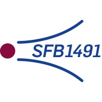 SFB1491 - Cosmic Interacting Matters logo - Similar company to Qustom Project