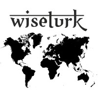 WiseTurk logo - Similar company to Digital Media Community
